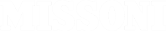 partner-image
